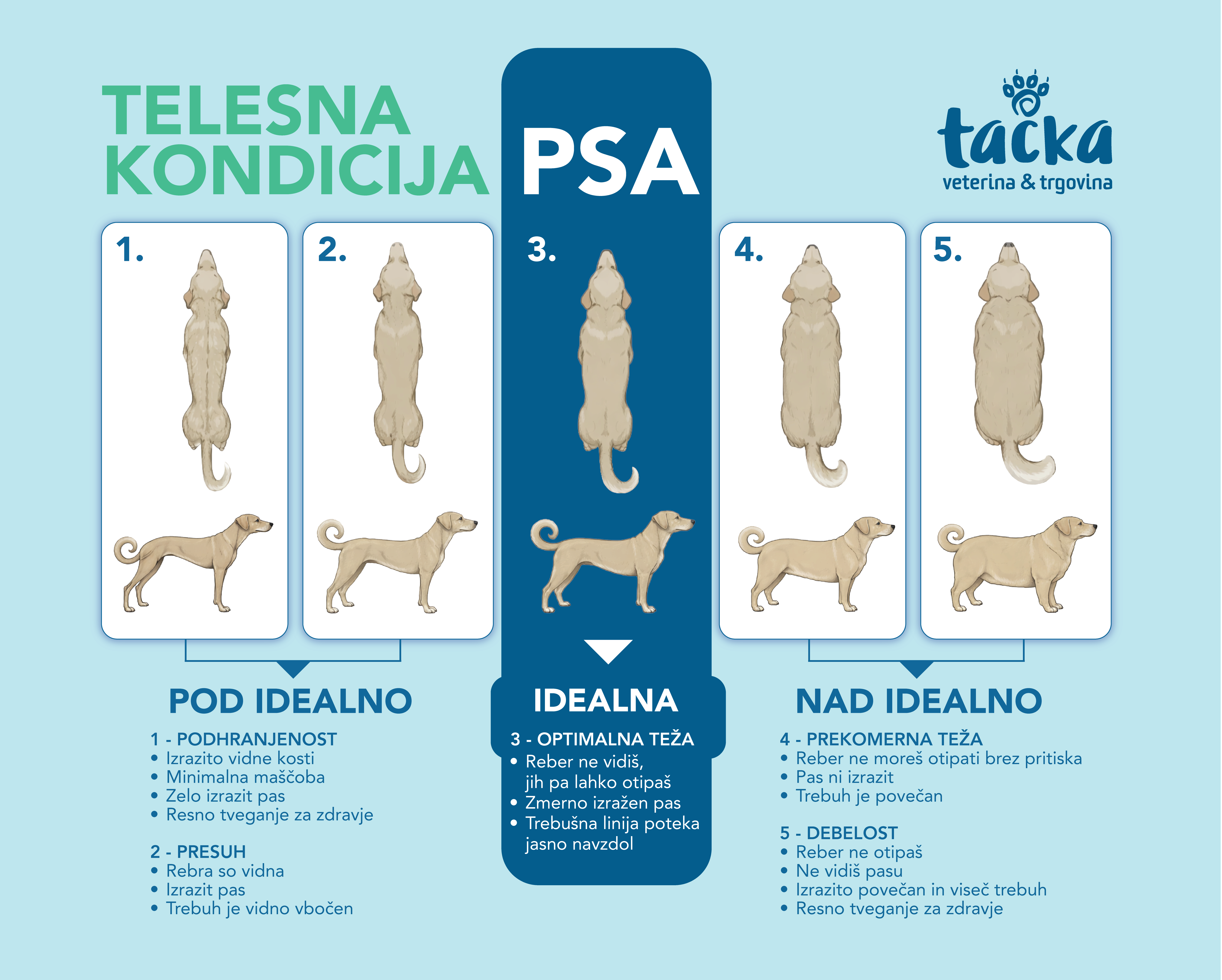 BCS TAČKA